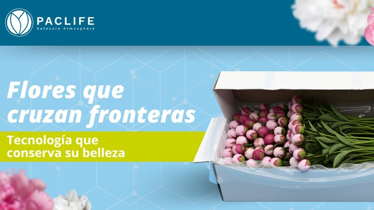 Cómo los envases inteligentes están transformando la ruta de las flores.png